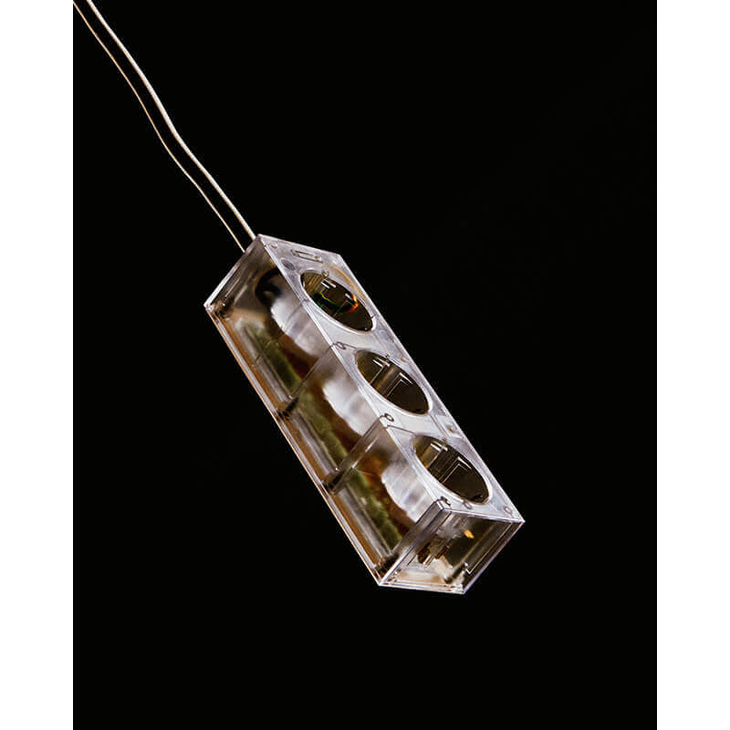 Accessoire luminaire Multiprise POWER BAR 5 m Transparent PEDESTAL
