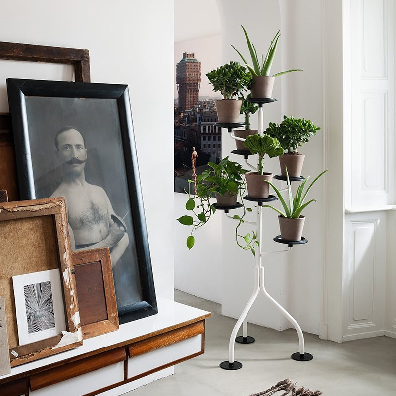 Petit rangement Jardinière ALBERO Vert ZANOTTA
