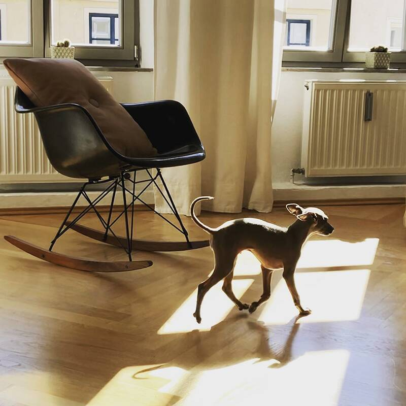 Fauteuil EAMES PLASTIC ARMCHAIR RAR Gris bleuté RE VITRA