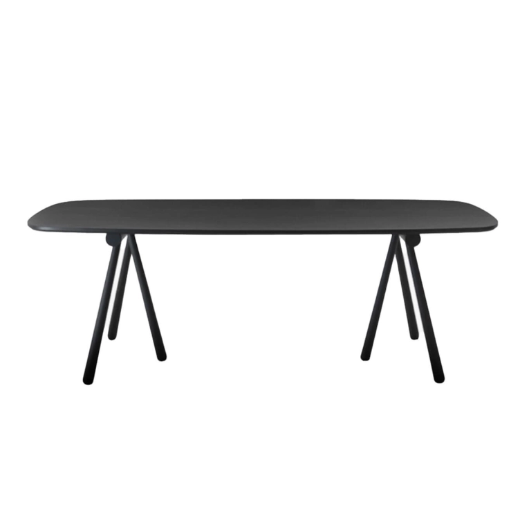 ALTAY L 240 Frêne Noir COEDITION