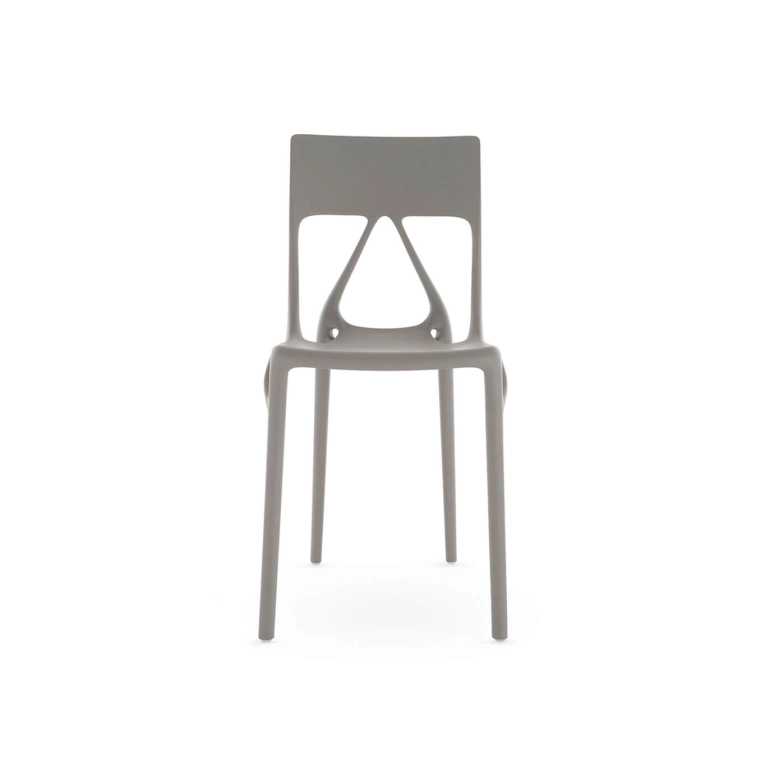 A.I_lite_gris_1