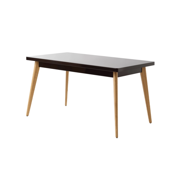 Table Table 55 140x80 pieds bois Brun noir TOLIX
