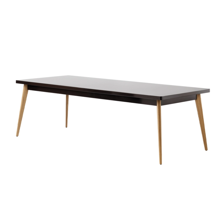 Table Table 55 240x100 pieds bois Brun noir TOLIX