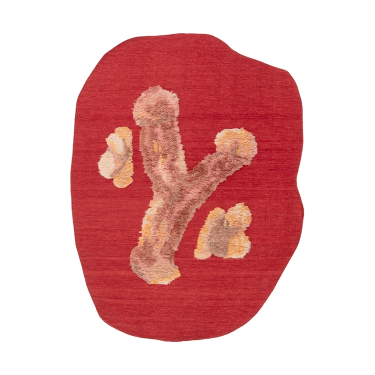 Tapis Tapis RUDE POKING FUN Rouge CC-TAPIS