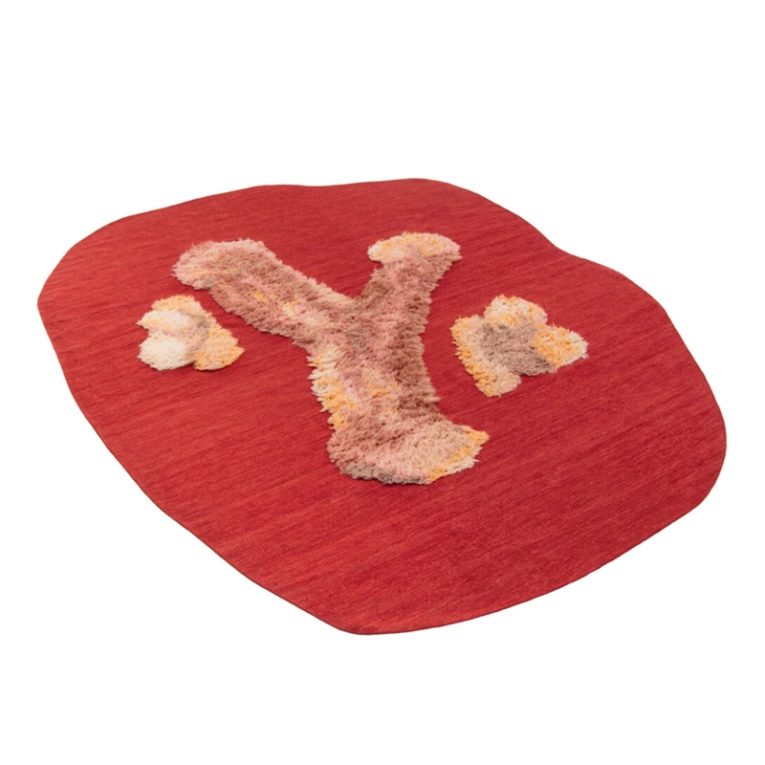 Tapis Tapis RUDE POKING FUN Rouge CC-TAPIS