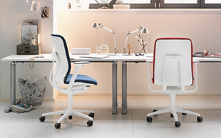 Ergonomic Office Chair
