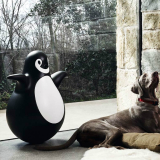 PINGY Black and white