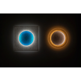 MOODMOON rond