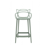 MASTERS H 65 Sage green