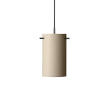 FM 1954 Gris mat