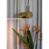 NASTRO 563.21 Beige/ terracotta