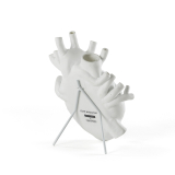 LOVE IN BLOOM White