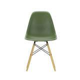 EAMES PLASTIC CHAIR DSW Golden maple Forest RE