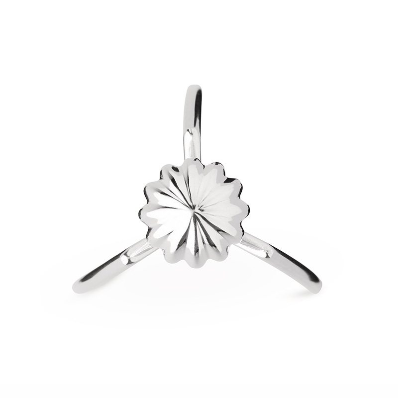 Presse-agrumes JUICY SALIF Chrome